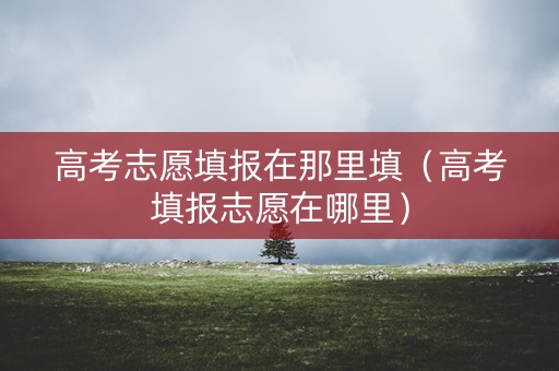 高考志愿填报在那里填（高考填报志愿在哪里）
