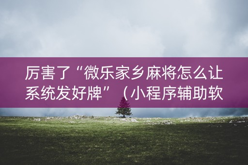厉害了“微乐家乡麻将怎么让系统发好牌”（小程序辅助软件)