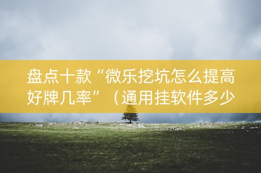 盘点十款“微乐挖坑怎么提高好牌几率”（通用挂软件多少钱)