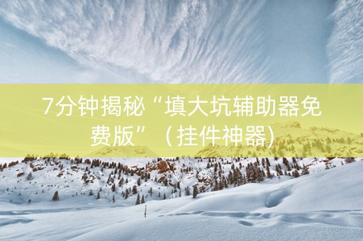 7分钟揭秘“填大坑辅助器免费版”（挂件神器)