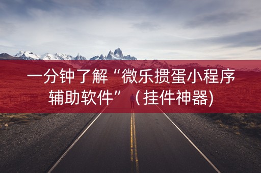 一分钟了解“微乐掼蛋小程序辅助软件”（挂件神器)