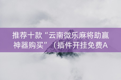 推荐十款“云南微乐麻将助赢神器购买”（插件开挂免费AI)