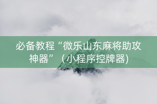 必备教程“微乐山东麻将助攻神器”（小程序控牌器)