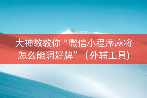 大神教教你“微信小程序麻将怎么能调好牌”（外辅工具)