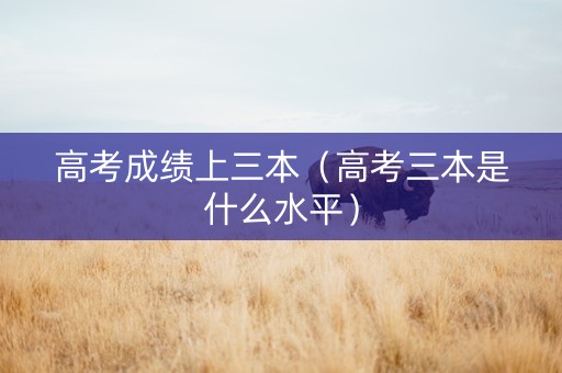 高考成绩上三本（高考三本是什么水平）
