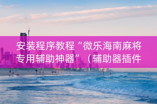 安装程序教程“微乐海南麻将专用辅助神器”（辅助器插件)