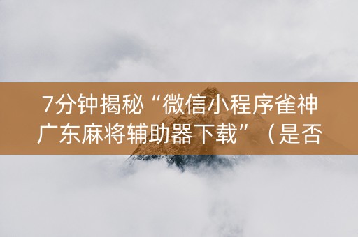 7分钟揭秘“微信小程序雀神广东麻将辅助器下载”（是否能开挂)