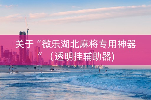 关于“微乐湖北麻将专用神器”（透明挂辅助器)