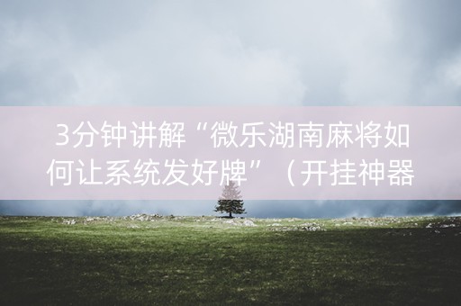 3分钟讲解“微乐湖南麻将如何让系统发好牌”（开挂神器下载)