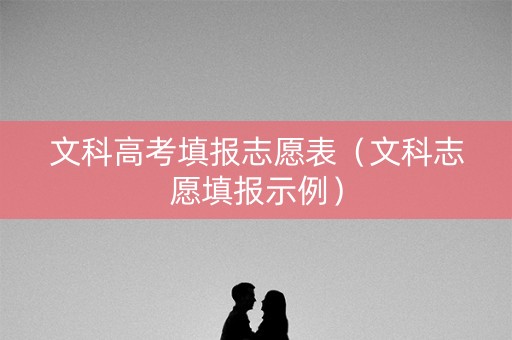 文科高考填报志愿表（文科志愿填报示例）
