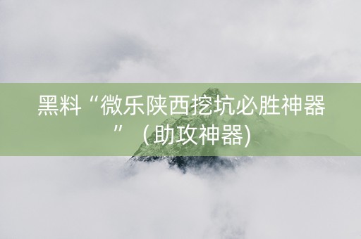 黑料“微乐陕西挖坑必胜神器”（助攻神器)