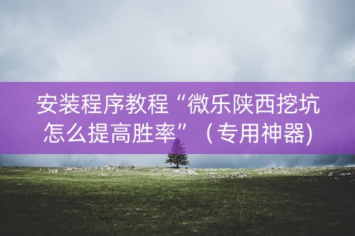 安装程序教程“微乐陕西挖坑怎么提高胜率”（专用神器)