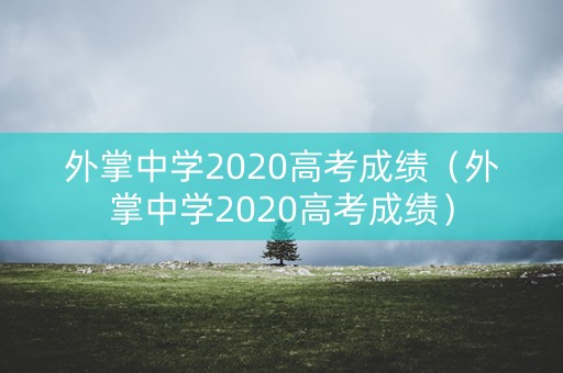 外掌中学2020高考成绩（外掌中学2020高考成绩）