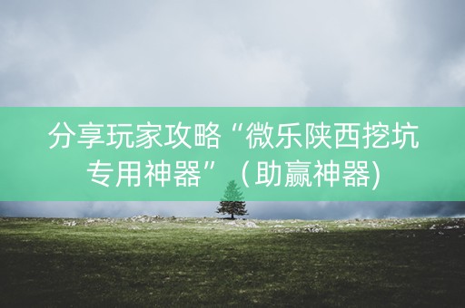 分享玩家攻略“微乐陕西挖坑专用神器”（助赢神器)