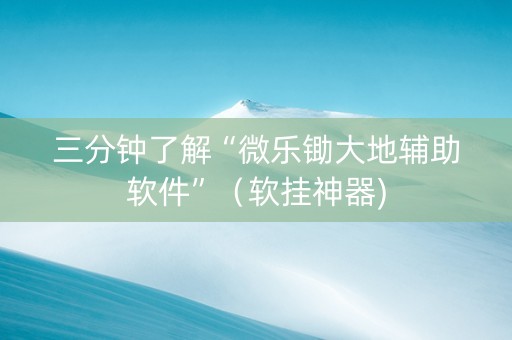 三分钟了解“微乐锄大地辅助软件”（软挂神器)