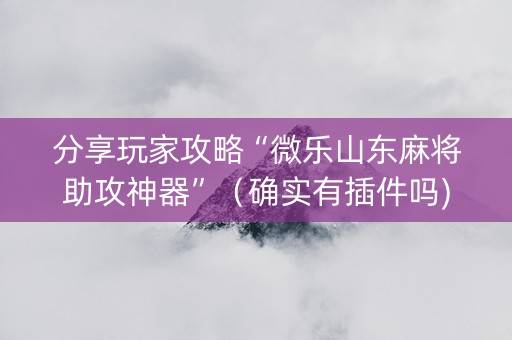 分享玩家攻略“微乐山东麻将助攻神器”（确实有插件吗)