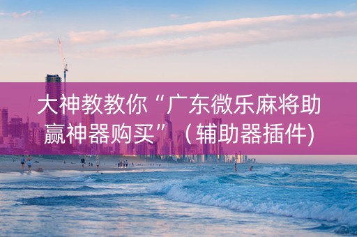 大神教教你“广东微乐麻将助赢神器购买”（辅助器插件)