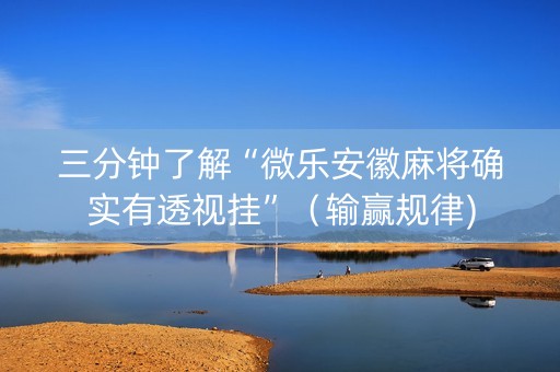 三分钟了解“微乐安徽麻将确实有透视挂”（输赢规律)