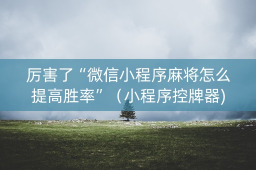 厉害了“微信小程序麻将怎么提高胜率”（小程序控牌器)
