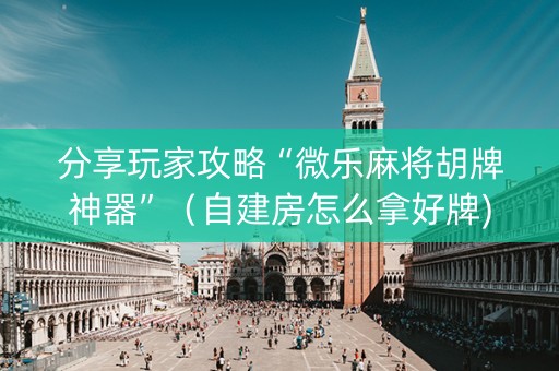 分享玩家攻略“微乐麻将胡牌神器”（自建房怎么拿好牌)