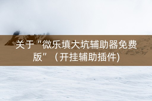 关于“微乐填大坑辅助器免费版”（开挂辅助插件)