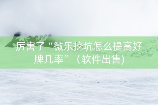 厉害了“微乐挖坑怎么提高好牌几率”（软件出售)