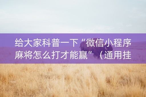 给大家科普一下“微信小程序麻将怎么打才能赢”（通用挂软件多少钱)