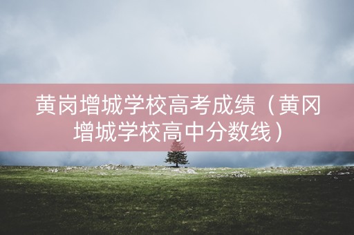 黄岗增城学校高考成绩（黄冈增城学校高中分数线）