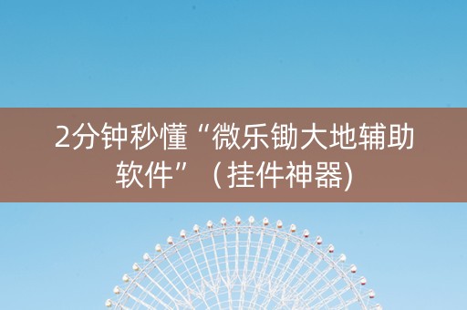 2分钟秒懂“微乐锄大地辅助软件”（挂件神器)