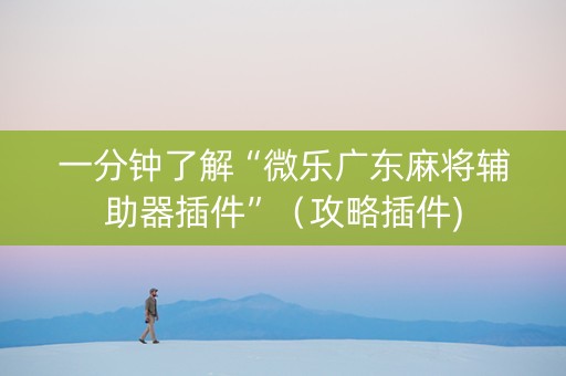 一分钟了解“微乐广东麻将辅助器插件”（攻略插件)