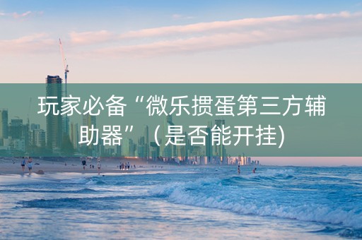 玩家必备“微乐掼蛋第三方辅助器”（是否能开挂)
