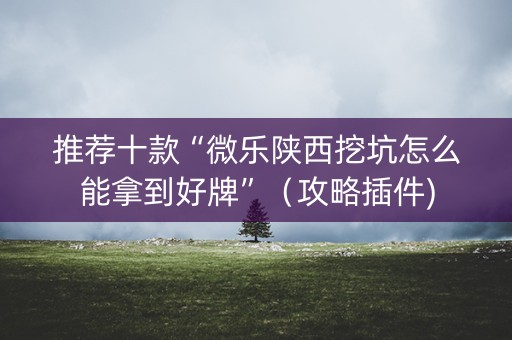 推荐十款“微乐陕西挖坑怎么能拿到好牌”（攻略插件)