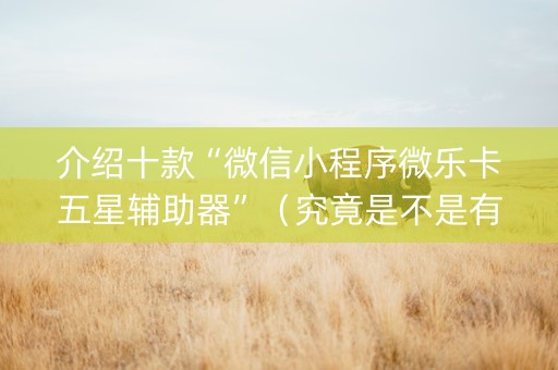 介绍十款“微信小程序微乐卡五星辅助器”（究竟是不是有挂)
