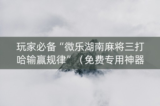 玩家必备“微乐湖南麻将三打哈输赢规律”（免费专用神器)