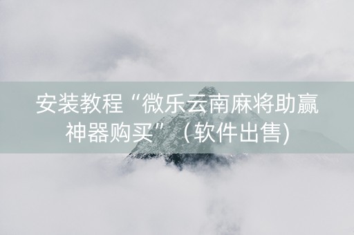 安装教程“微乐云南麻将助赢神器购买”（软件出售)