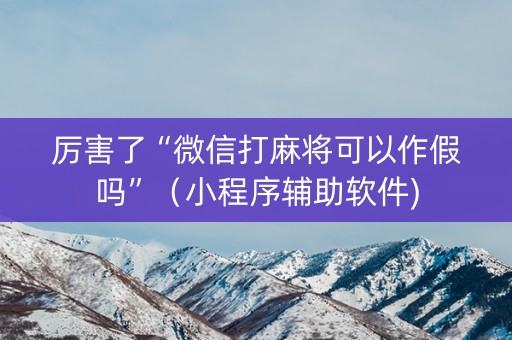 厉害了“微信打麻将可以作假吗”（小程序辅助软件)