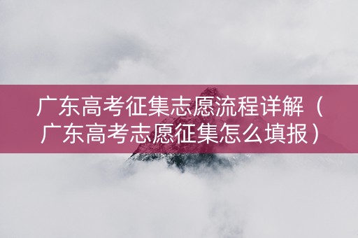 广东高考征集志愿流程详解（广东高考志愿征集怎么填报）