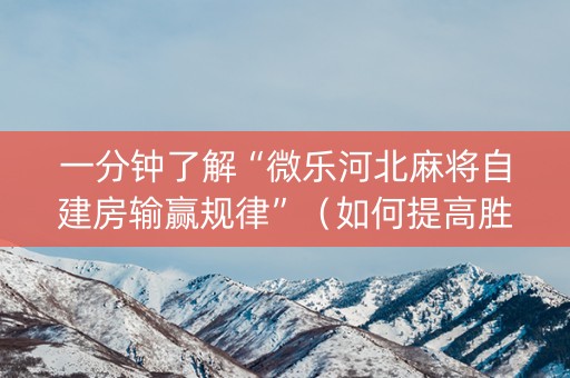 一分钟了解“微乐河北麻将自建房输赢规律”（如何提高胜率)