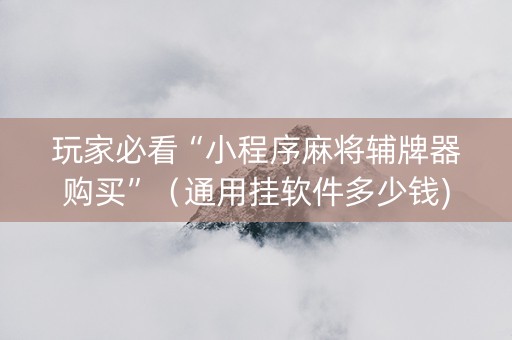 玩家必看“小程序麻将辅牌器购买”（通用挂软件多少钱)