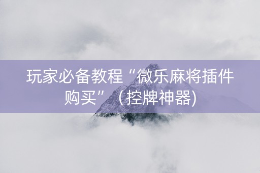 玩家必备教程“微乐麻将插件购买”（控牌神器)