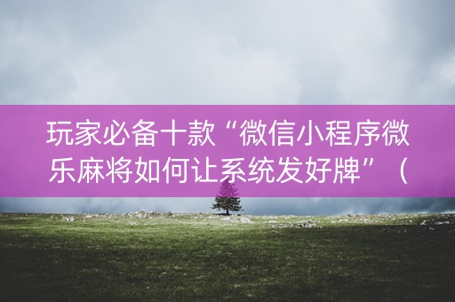 玩家必备十款“微信小程序微乐麻将如何让系统发好牌”（开挂辅助器插件)