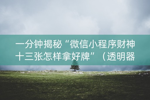 一分钟揭秘“微信小程序财神十三张怎样拿好牌”（透明器教程)