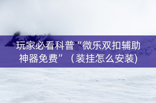 玩家必看科普“微乐双扣辅助神器免费”（装挂怎么安装)