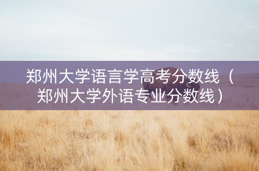 郑州大学语言学高考分数线（郑州大学外语专业分数线）