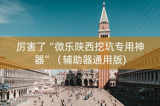 厉害了“微乐陕西挖坑专用神器”（辅助器通用版)