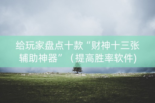 给玩家盘点十款“财神十三张辅助神器”（提高胜率软件)