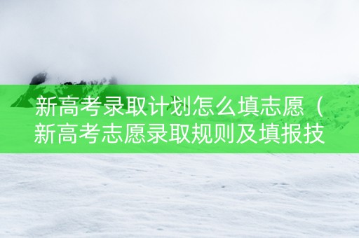 新高考录取计划怎么填志愿（新高考志愿录取规则及填报技巧）