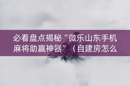必看盘点揭秘“微乐山东手机麻将助赢神器”（自建房怎么拿好牌)