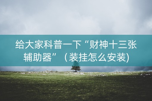 给大家科普一下“财神十三张辅助器”（装挂怎么安装)