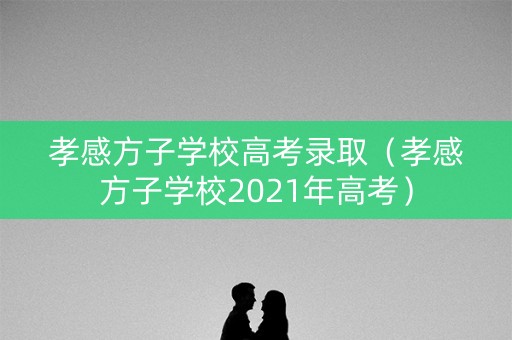 孝感方子学校高考录取（孝感方子学校2021年高考）